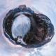 TinyPlanet